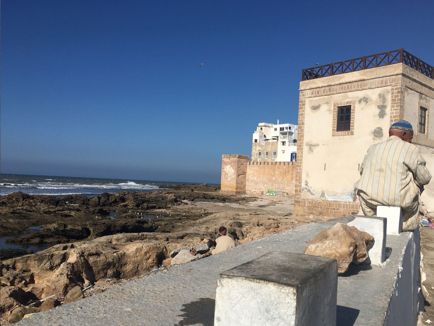 Törnbericht Marokko Marokkoaner auf Mauer Essaouira